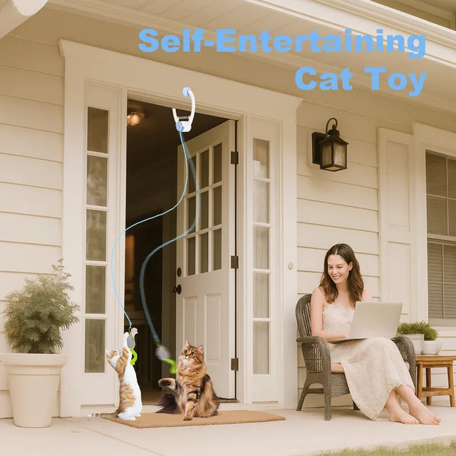 Electric Door Cat Toy with Auto-Cycle | USB Rechargeable Interactive Kitten & Adult Play