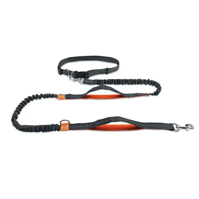 Hands-Free Bungee Dog Leash for Running | Shock-Absorbing Belt & Reflective Trim
