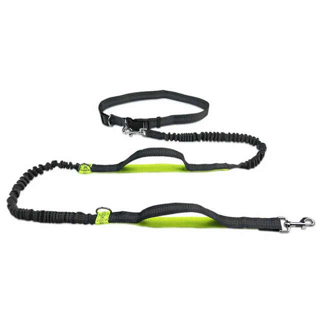 Hands-Free Bungee Dog Leash for Running | Shock-Absorbing Belt & Reflective Trim