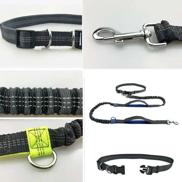 Hands-Free Bungee Dog Leash for Running | Shock-Absorbing Belt & Reflective Trim