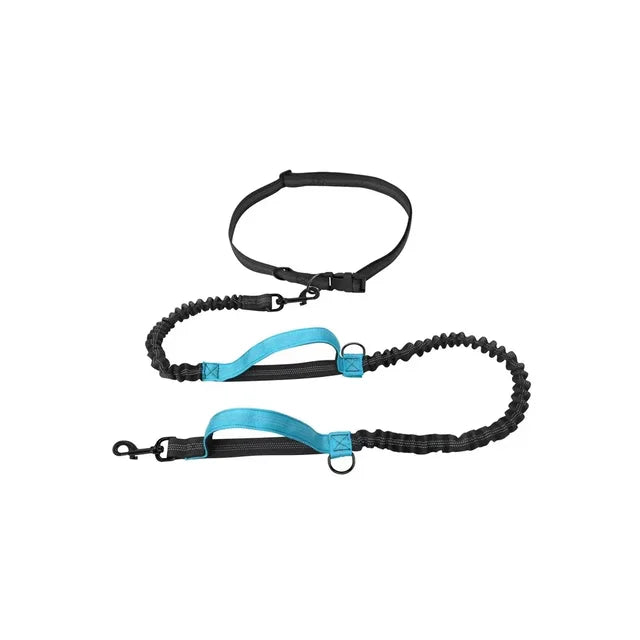Hands-Free Bungee Dog Leash for Running | Shock-Absorbing Belt & Reflective Trim