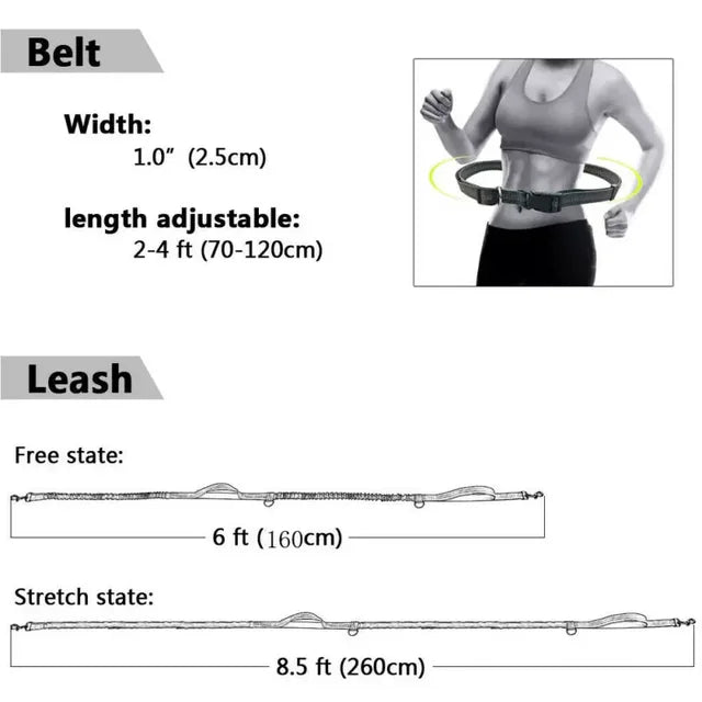 Hands-Free Bungee Dog Leash for Running | Shock-Absorbing Belt & Reflective Trim