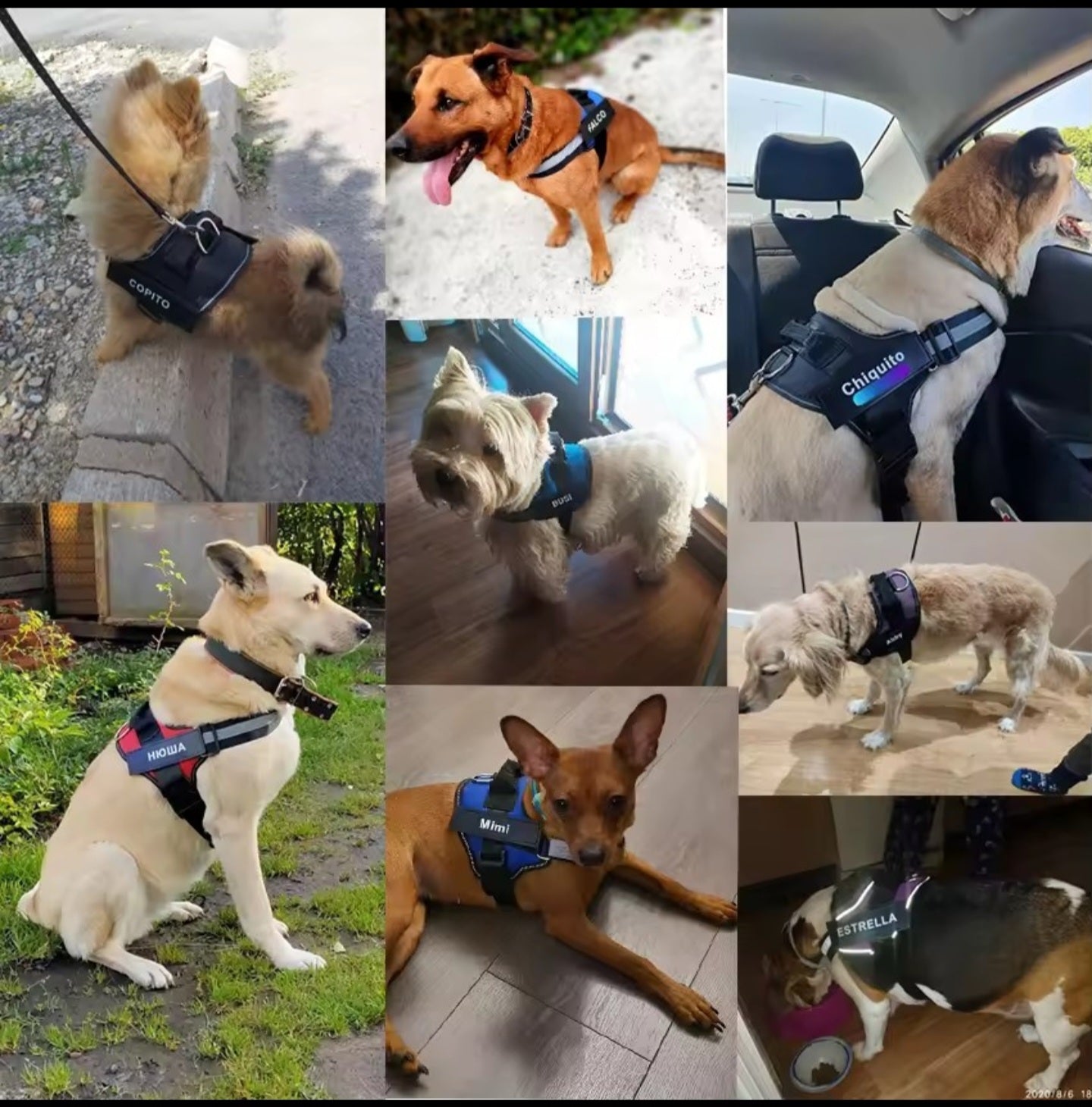 Personalized No-Pull Dog Harness | Reflective, Adjustable Vest with Name Patch