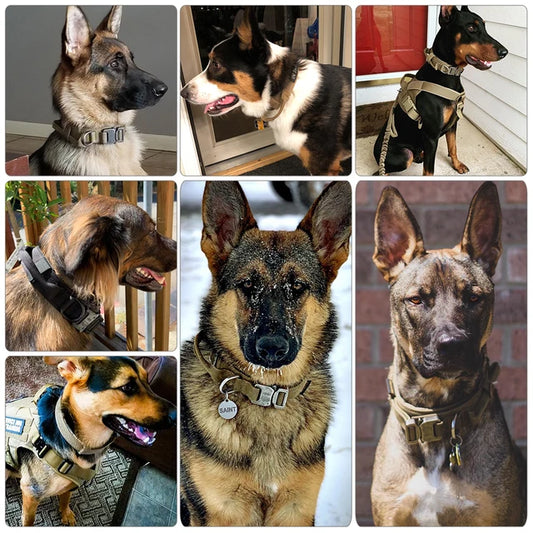 Heavy-Duty Tactical Dog Collar & Leash Set | Military-Grade Nylon & Metal Buckle