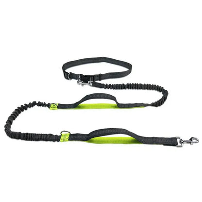 Hands-Free Bungee Dog Leash for Running | Shock-Absorbing Belt & Reflective Trim