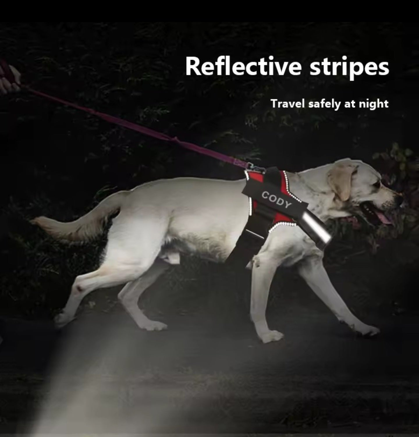 Personalized No-Pull Dog Harness | Reflective, Adjustable Vest with Name Patch