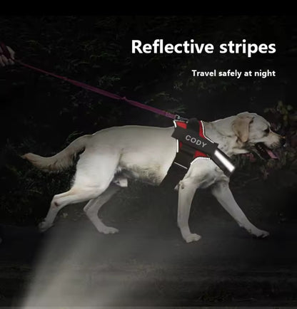 Personalized No-Pull Dog Harness | Reflective, Adjustable Vest with Name Patch
